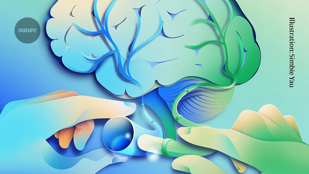 Phẫu thuật gây tranh cãi trong điều trị Alzheimer: Hy vọng hay rủi ro?