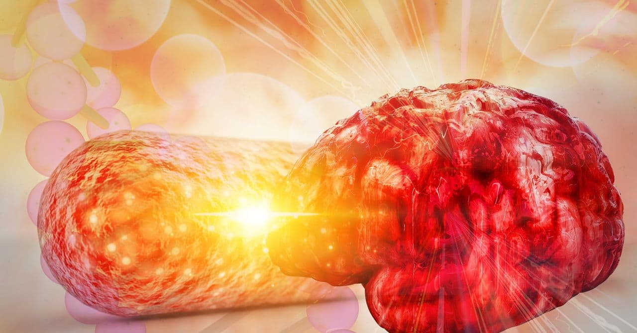 Mối liên hệ mới giữa sức khỏe đường ruột và bệnh Alzheimer: Phát hiện đột phá từ nghiên cứu khoa học