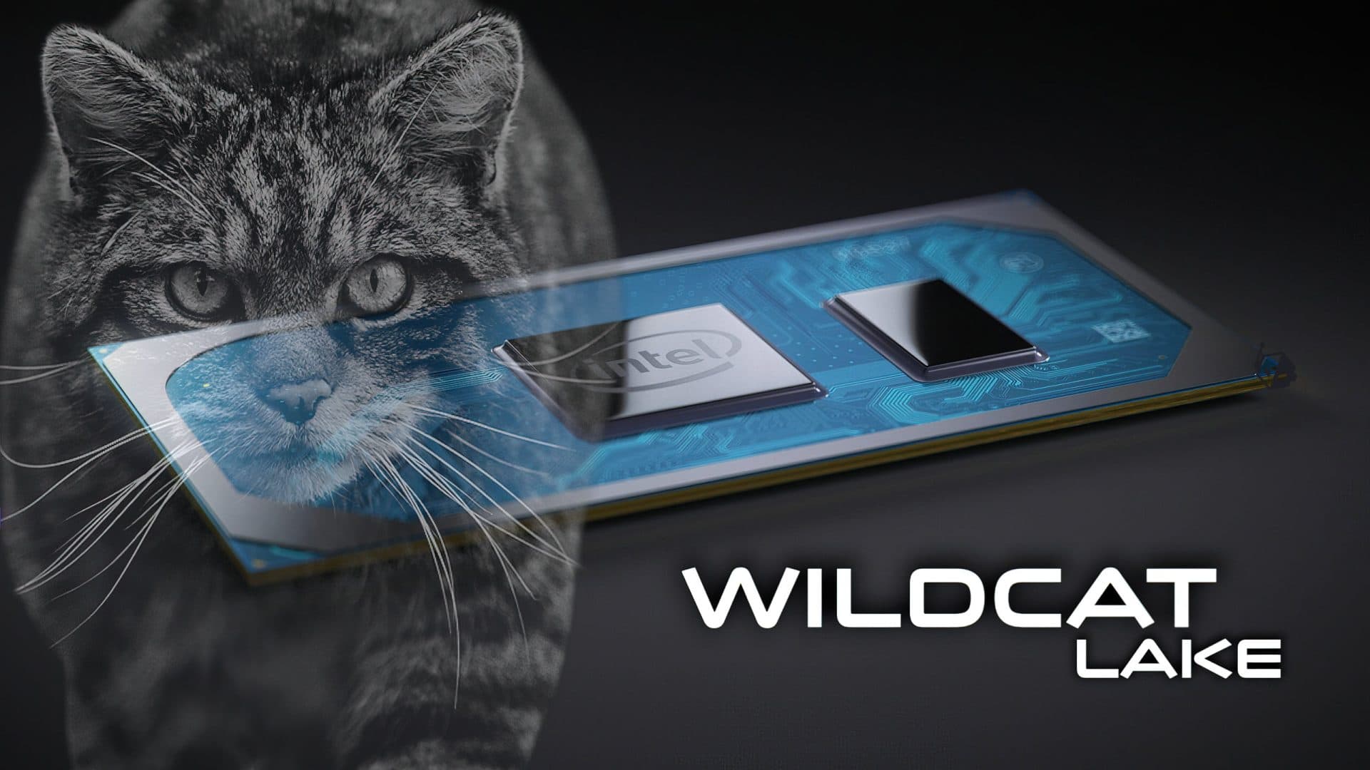 Intel Core 3 304: Đối thủ đáng gờm của Apple A18 Pro trong bài kiểm tra hiệu năng đa luồng PassMark