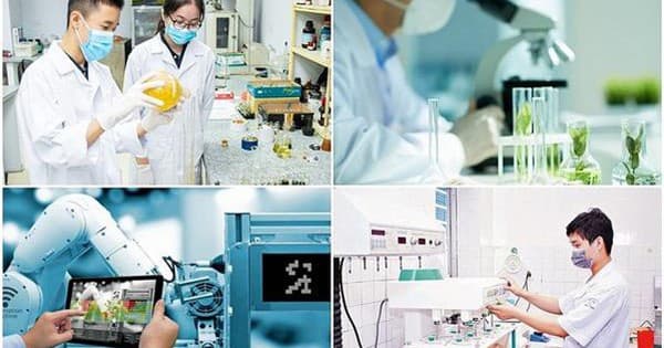 Khánh Hòa và Chiến Lược 6 Nhóm Nhiệm Vụ Trọng Tâm về Khoa Học, Công Nghệ và Đổi Mới Sáng Tạo
