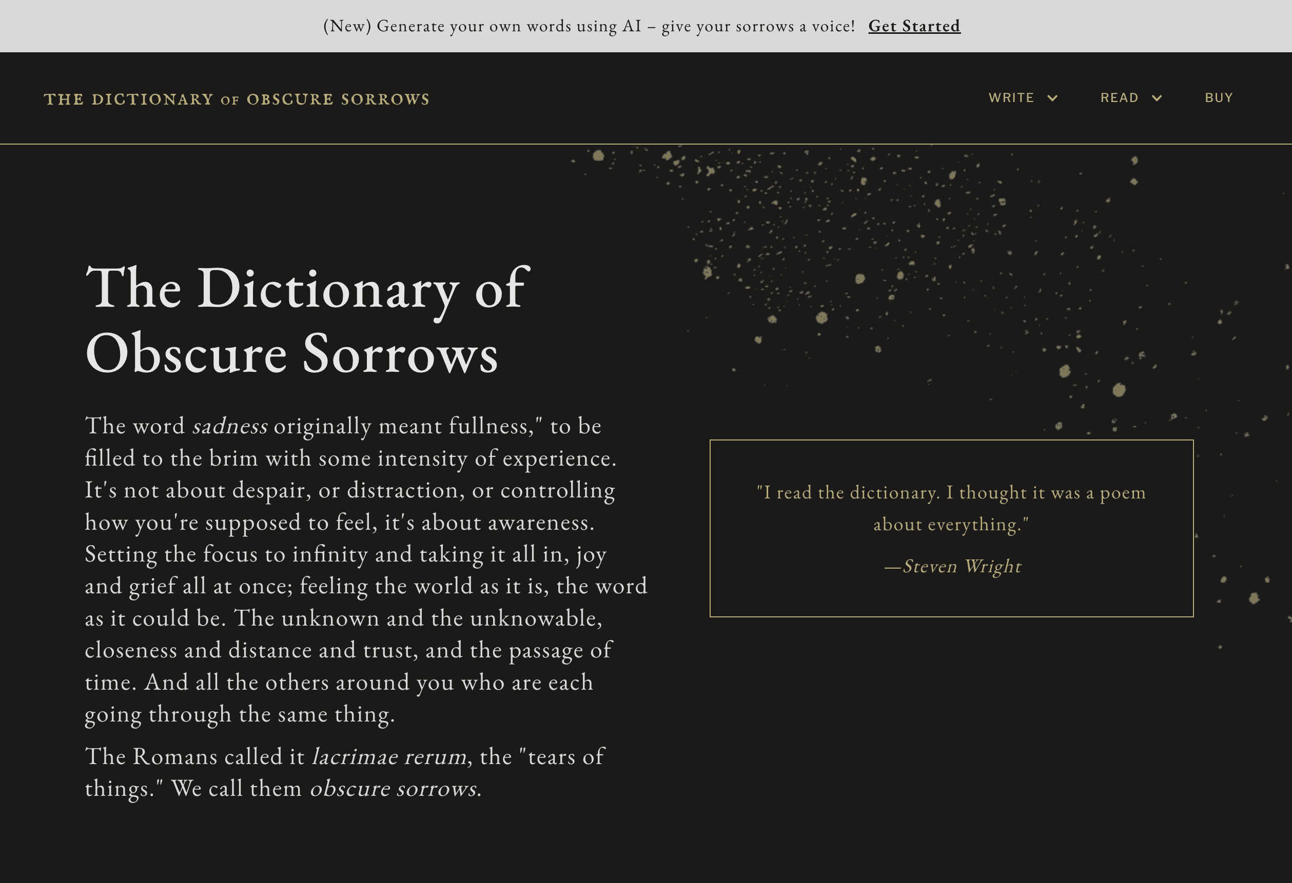 Sự thật về vụ đạo nhái trắng trợn 'The Dictionary of Obscure Sorrows'